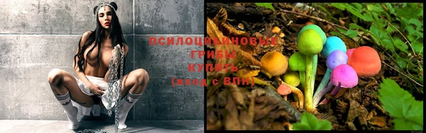 первитин Пересвет
